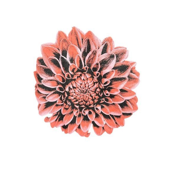 Instant Message Woman Heather Charcoal Dahlia Tank Loose Plus 2 - Picture 2 of 7